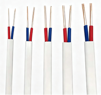 PVC-Flachkabel 300/500V, Blankkupferleiter, 2-3 Adern 0,75-16mm², für Beleuchtung & Stromverteilung, IEC/CCC-Zertifiziert