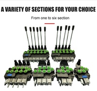 Vanne de commande directionnelle monobloc Hy-Waloil M45 à 3 bobines, 45 L/min, pour moissonneuse-batteuse, camion, remorque, hydraulique, vente en gros