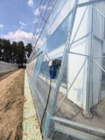 Serre en acier galvanisé à plusieurs travées avec film plastique PE pour la culture de tomates, concombres, poivrons et légumes