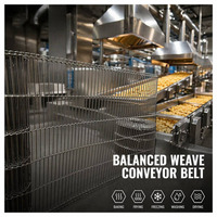 Yuchen 304 roestvrijstalen B-type gaas transportband voor biscuit bakoven