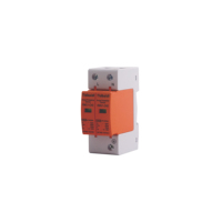 Protecteur de surtension SPD 2P/60KA protection contre la foudre domestique 220V 380V AC module de protection contre la foudre 40KA