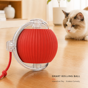 Nouvelle conception 360 °   Jouet intelligent pour chien, balle interactive automatique, jouets interactifs, balle roulante avec chargeur USB - Product Image 1
