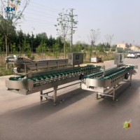 Sorteermachine voor voedselveilige roestvrijstalen dozen, automatische gewichtssorteerder, veel gebruikt in fruitverwerkingsbedrijven