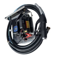 Pompe de transfert de carburant électrique 12V 24V DC en fonte auto-amorçante sans pression