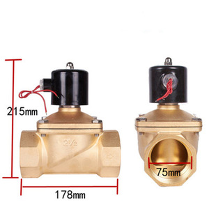 Vanne solénoïde en laiton 2 1/2 pouces DN65 220V 24V normalement fermée pour le contrôle de l'eau et de l'air, raccord fileté - Product Image 1