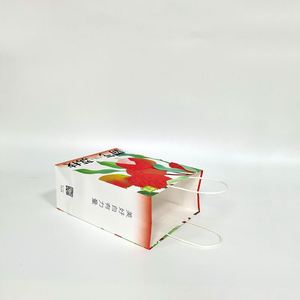 Bolsa de Papel Kraft Blanca con Impresión Completa, Materiales Reciclados, Embalaje para Bebidas, Bolsa para Llevar Comida, Asa Larga, Logotipo OEM, Té - Product Image 6