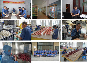 Instrumento de medición constante de Planck, aparato de experimento constante de tablón - Product Image 3