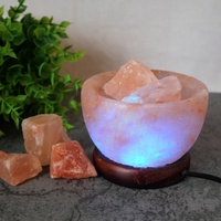 Holzfuß Ladegerät USB Natural Crafts Fire Bowl Glücks lampe aus Pakistan Pink Stone Herstellungs preis Himalaya Salz lampe