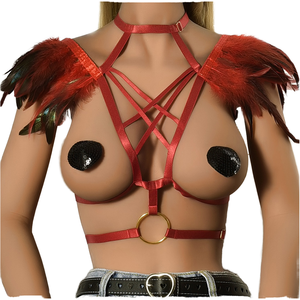 Lencería Sexy para Mujer con Plumas, Ropa de Baile para Festivales Rave, Control de Nivel Superior para Juegos de Rol Eróticos, Disfraz BDSM - Product Image 1