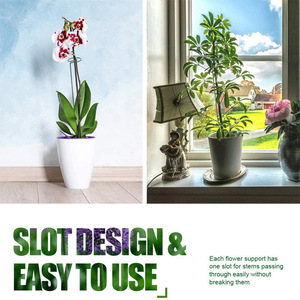 <strong>Plant</strong> Stakes for Flowers, <strong>Metal</strong> Single Stem <strong>Plant</strong> <strong>Support</strong>, Garden <strong>Plant</strong> Stakes for Amaryllis Orchid Lily Rose Tomatoes - Product Image 4