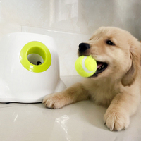 Lanceur de balles pour chiens, jouet pour chien, lanceur de balles de tennis, lanceur de balles sautantes, jouets pour Pitbull, lancer automatique pour animaux de compagnie