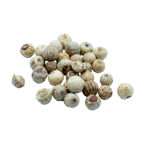 Poivre blanc indien de la nouvelle saison, naturellement transformé, épice entière, FitTree International pour la qualité supérieure internationale - Product Image 1