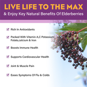 Gouttes liquides d'églantier Sambucus Nigra <span class=keywords><strong>de</strong></span> qualité GMP, complément alimentaire avec vitamine et zinc, gouttes liquides à base <span class=keywords><strong>de</strong></span> plantes - Product Image 4