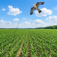 Cerf-volant répulsif anti-oiseaux en forme de faucon, écologique et inoffensif, pour la ferme et la pelouse
