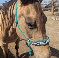 Ensemble de licol et de longe pour cheval, fabriqué par Horse Lead Equip, avec protège-museau, crochet, corde en paracorde tressée à la main, licol en nylon pour l'équitation