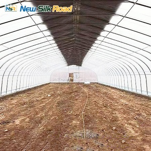 <span class=keywords><strong>Serre</strong></span> agricole à simple portée à faible coût, en acier galvanisé à chaud, avec couverture en film plastique multi-ventilation, marque NSR - Product Image 5