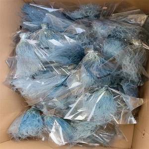 Herbe de la Pampa PPL65 Stipa à Couleurs Dégradées pour Décoration de Mariage et d'Intérieur – Fleur Éternelle pour Composition, Plume Naturelle - Product Image 4