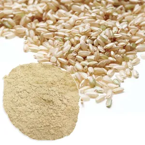 Polvo de extracto de arroz integral orgánico para proteína fermentada germinada