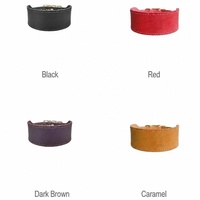 Collier pour chien en cuir de luxe, robuste, réglable, avec boucle en métal, plusieurs couleurs, logo personnalisé, pour chiot, chat, Greyhound