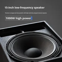 Haut-parleur de scène multifonctionnel actif/passif haute puissance en bouleau série TAS12 pour salle de conférence et salle de réunion, avec subwoofer intégré