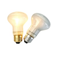 Ampoule chauffante isolante en aluminium et laiton 120V 60W R20 E26 pour machine à popcorn, à intensité variable