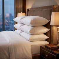 Oreillers de luxe pour hôtel, 100 % polyester, hypoallergéniques, résistants aux acariens, doux pour la peau, design uni, qualité supérieure
