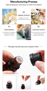 Großhandel Private Label Zimt ätherisches Öl für Massage mischungen und Home Fragrance Produkte - Product Image 4