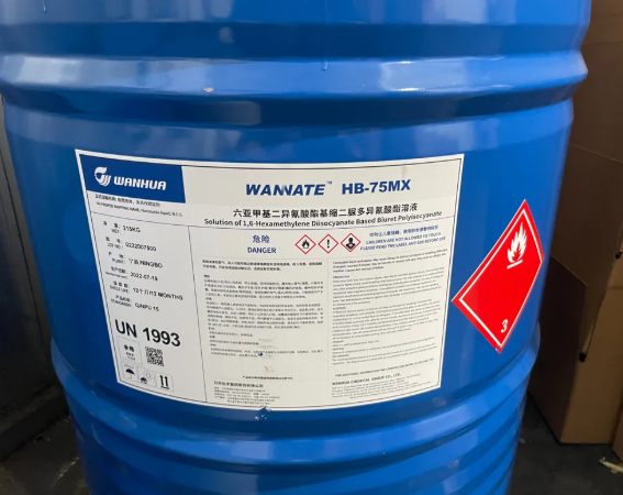 Wanhua Curing Agent Isocyanate HDI HB-75MX, HT-75B HT-90B/BS H-100 HT-600 Tl-75E TT-150B TT-350B IPDI HMDI