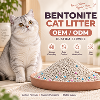 Litière pour chat en bentonite de sodium écologique de qualité supérieure, forme de boule, faible teneur en poussière, 8 kg, hautement absorbante, agglomération rapide, contrôle des odeurs, OEM ODM
