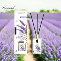 Ensembles de cadeaux de diffuseur de roseau d'aromathérapie de luxe de 120ml Diffuseur de roseau élégant d'aromathérapie de bouteille unique pour la décoration de voiture à la maison