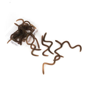 Isca Artificial Biónica Impressa em Silicone para Pesca, Feita de Borracha de Silicone para Uso em Lagos, Rios e Oceanos - Product Image 2