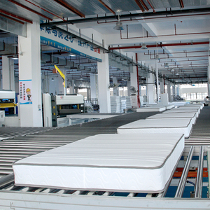 Giá cả phải chăng Bộ nhớ bọt Flex nệm cho giấc ngủ tốt nhất - Product Image 1