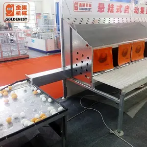 save labour equipment automatic egg collection machine