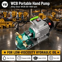 Pompe à huile à engrenages en fonte WCB 30, 15 LPM, 0,3 Mpa, 0,75 KW, pompe à huile de cuisson à engrenages en acier allié, 1400 tr/min avec moteur prêt à l'emploi