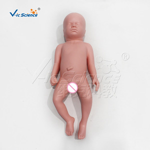 Un modèle médical réaliste pour l'entraînement infirmier peut être utilisé comme modèle de bébé avec un os pelvien. - Product Image 4
