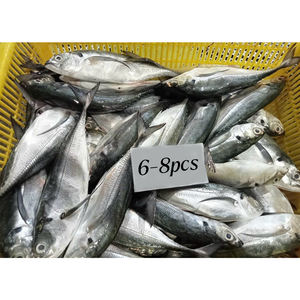 Fornecedor de peixes de cavala cavala congelada cauda amarela cavala cavala congelada preço novo - Product Image 3