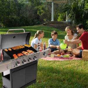 Parrilla de gas propano de acero inoxidable Db 4 con quemador lateral y termómetro para barbacoa al aire libre para 5 personas - Product Image 4