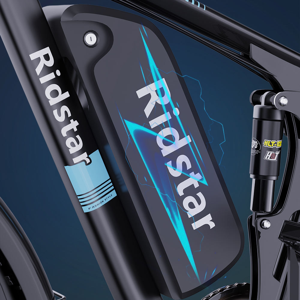 48V 23Ah Lithium Battery All-Terrain Electric Cruiser Bike 2000W