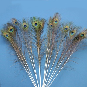 Belle <span class=keywords><strong>piume</strong></span> di <span class=keywords><strong>pavone</strong></span> all'ingrosso di alta qualità 110-120CM di colore naturale per accessori per gioielli spettacoli carivali - Product Image 5