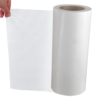 Film adhésif thermofusible en polyester Ds001ts 50cm 100cm pour PVC et tissus textiles