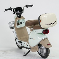 Modèle MokaII 48V/60V Style Sk8 350W/500W Moteur à moyeu sans balais à affichage numérique électronique Fibre de carbone Double suspension Longue portée