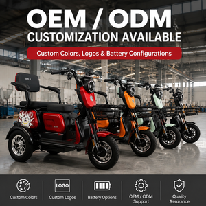 Venta al por Mayor de Triciclo Eléctrico de 1000W 600W, 3 Ruedas, 60V 20Ah, Motocicleta para Adultos - Product Image 3