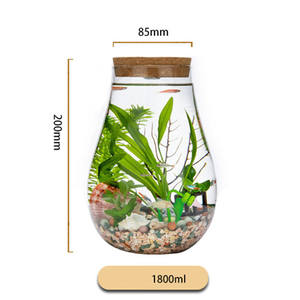 Décoration de maison de table Vase <span class=keywords><strong>en</strong></span> <span class=keywords><strong>verre</strong></span> décoratif <span class=keywords><strong>en</strong></span> forme de larme Terrarium pour plantes - Product Image 3
