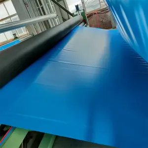 SDM Factory specializing in the production of PVC blue geomembrane HDPE blue geomembrane