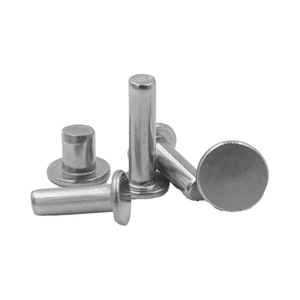 Rivets en acier inoxydable 304 à tête plate, à tête ronde, à tête cylindrique, rivets pleins à percussion - Product Image 1