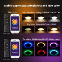 Plafonnier LED intelligent ultra-plat RGBIC RGB+CCT Tuya WiFi ZigBee 24W AC100V AC240V CE SAA approuvé pour la maison et le salon