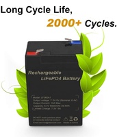 Panneau solaire Rechargeable Lifepo4, Lithium fer Phosphate, 6V, 2,5 ah, 4ah, 4,5 ah, 5ah, 6ah, pour remplacer une batterie 6V