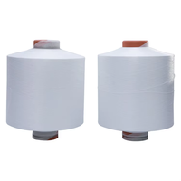 Vente en gros DTY 150D/48F SD SIM NIM 150/36F 150/96F SD SIM NIM WHITE Denier Yarn