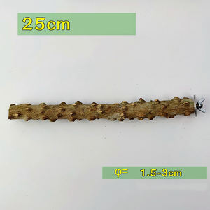 Posatoi portatili morso di animale domestico artiglio rettifica uccello pappagallo Stand animali domestici in legno giocattoli gabbia appesa pepe in legno uccello in piedi bastone - Product Image 5