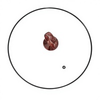 Poêle antiadhésive de haute qualité de marque propre, extra large 32 cm, petite marmite électrique adaptée à la cuisine et à un usage domestique